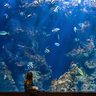 aquarium de donosti